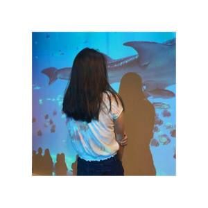 Meet your Posher, Seohee